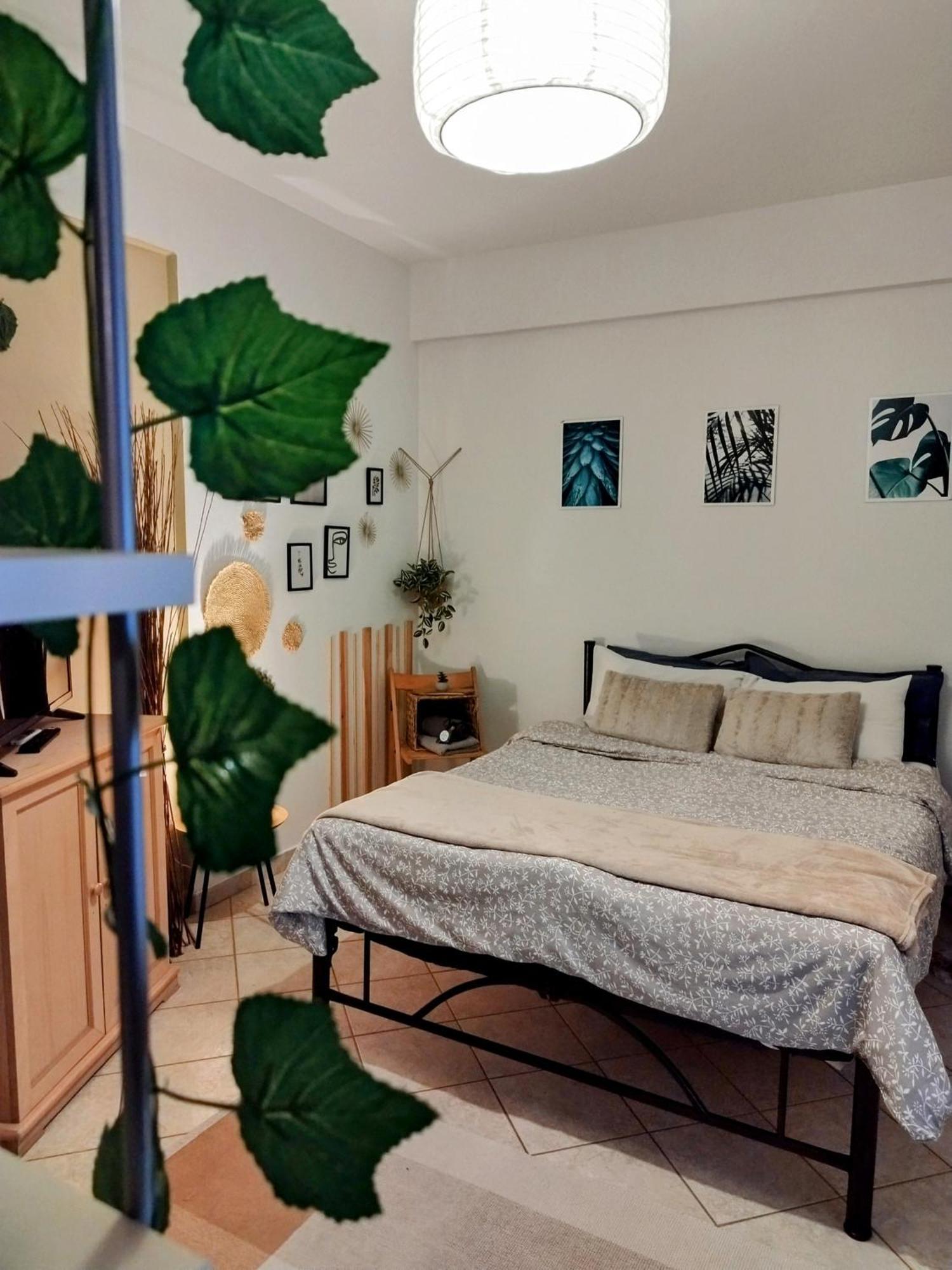 Evaggelia'S Apartments 2 Διαμονή Σαν Το Σπίτι Σας 코자니 외부 사진